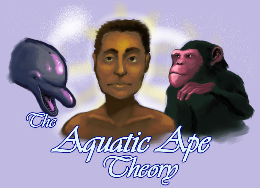 aquatic ape