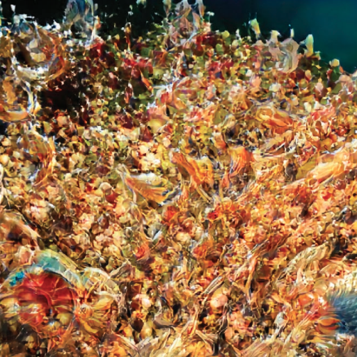 Nicholas Leonard thumbnail